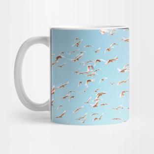 Birds of the Outback Mug